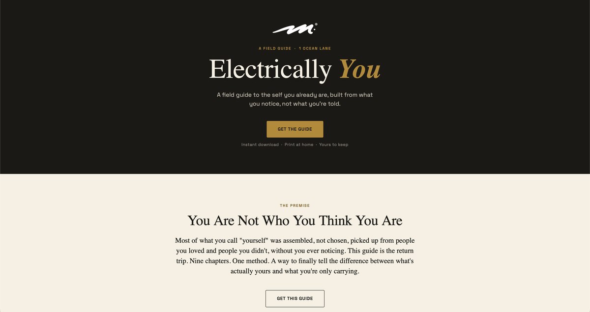 Electrically You